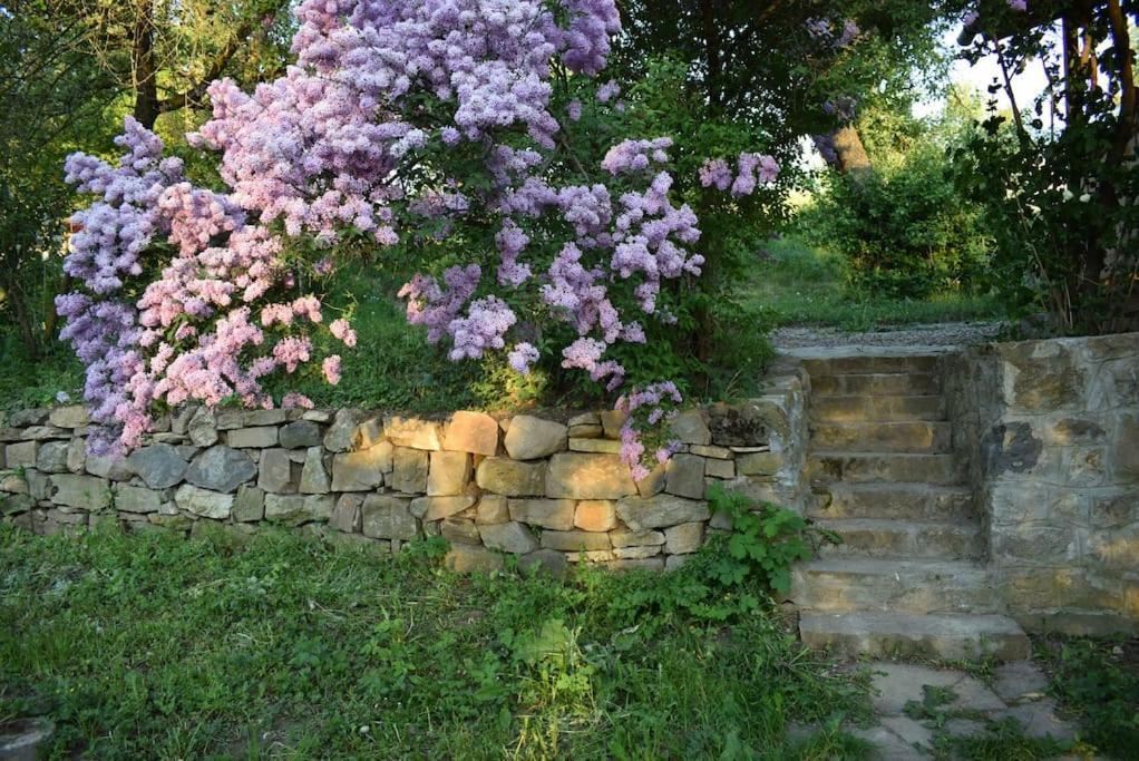Birdsong Cottage - Peaceful Country Retreat Păuleni-Ciuc Exteriér fotografie