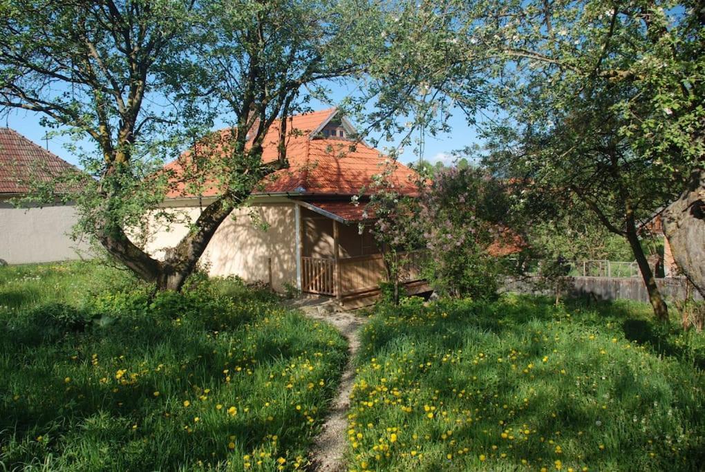 Birdsong Cottage - Peaceful Country Retreat Păuleni-Ciuc Exteriér fotografie