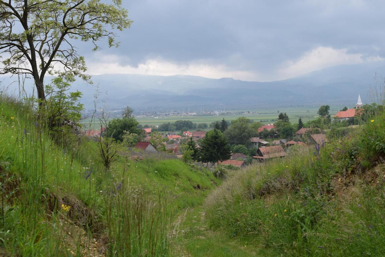 Birdsong Cottage - Peaceful Country Retreat Păuleni-Ciuc Exteriér fotografie